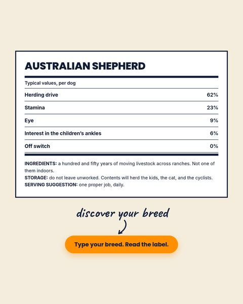 Discover your breed