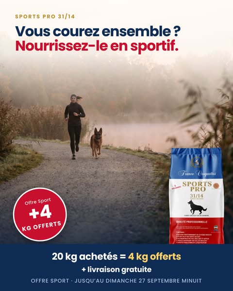 Formulé pour les chiens actifs