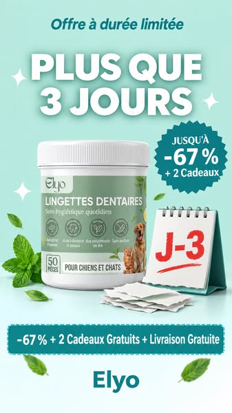 Offrez à votre chien une vie plus saine et plus heureuse