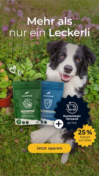 Jetzt 25% sparen