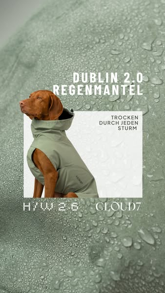 Wetterfest für jeden Hund