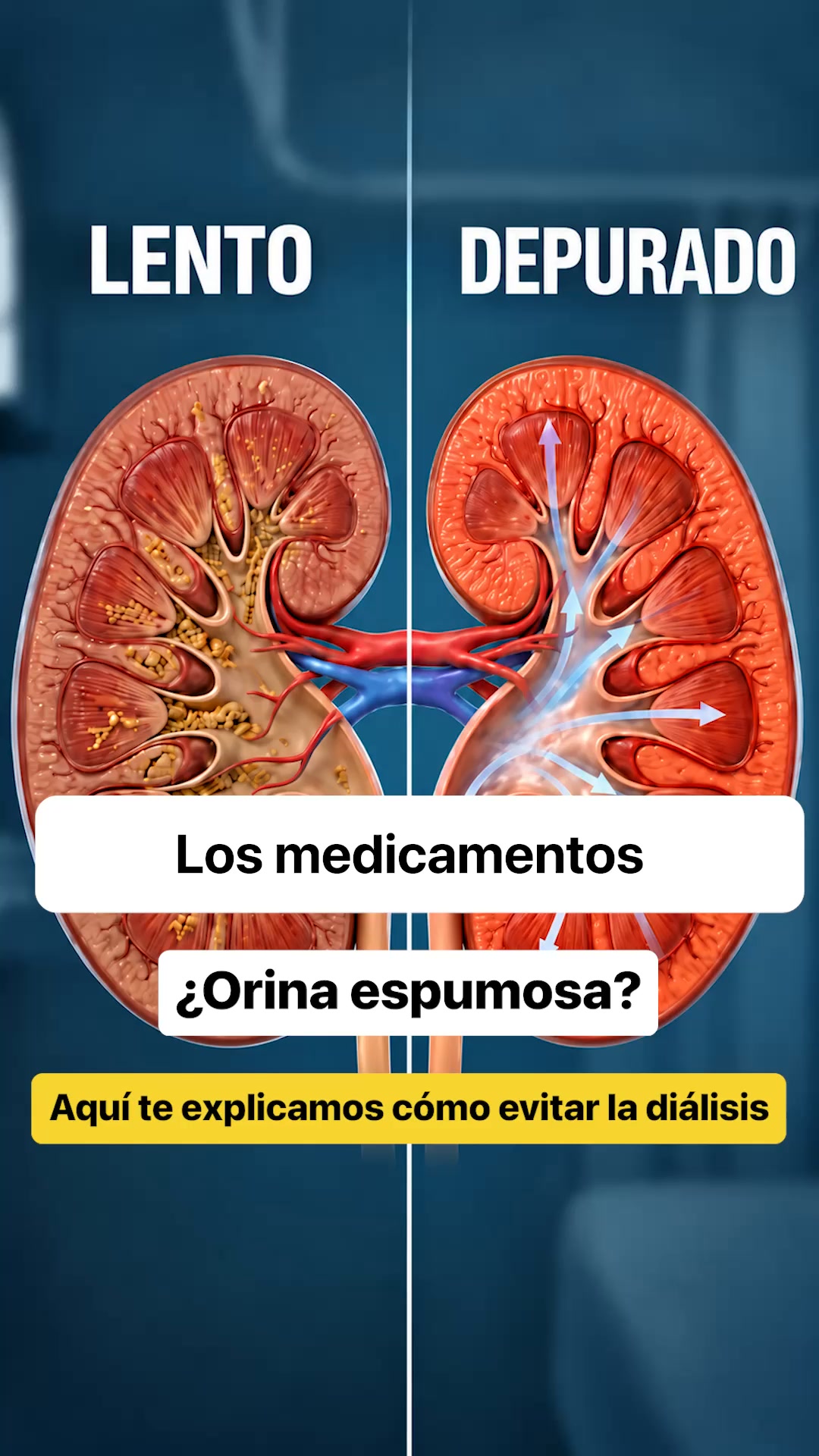 Cuida tus riñones — desde el interior