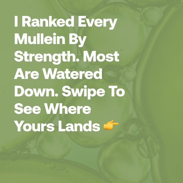 Every Mullein Ranked