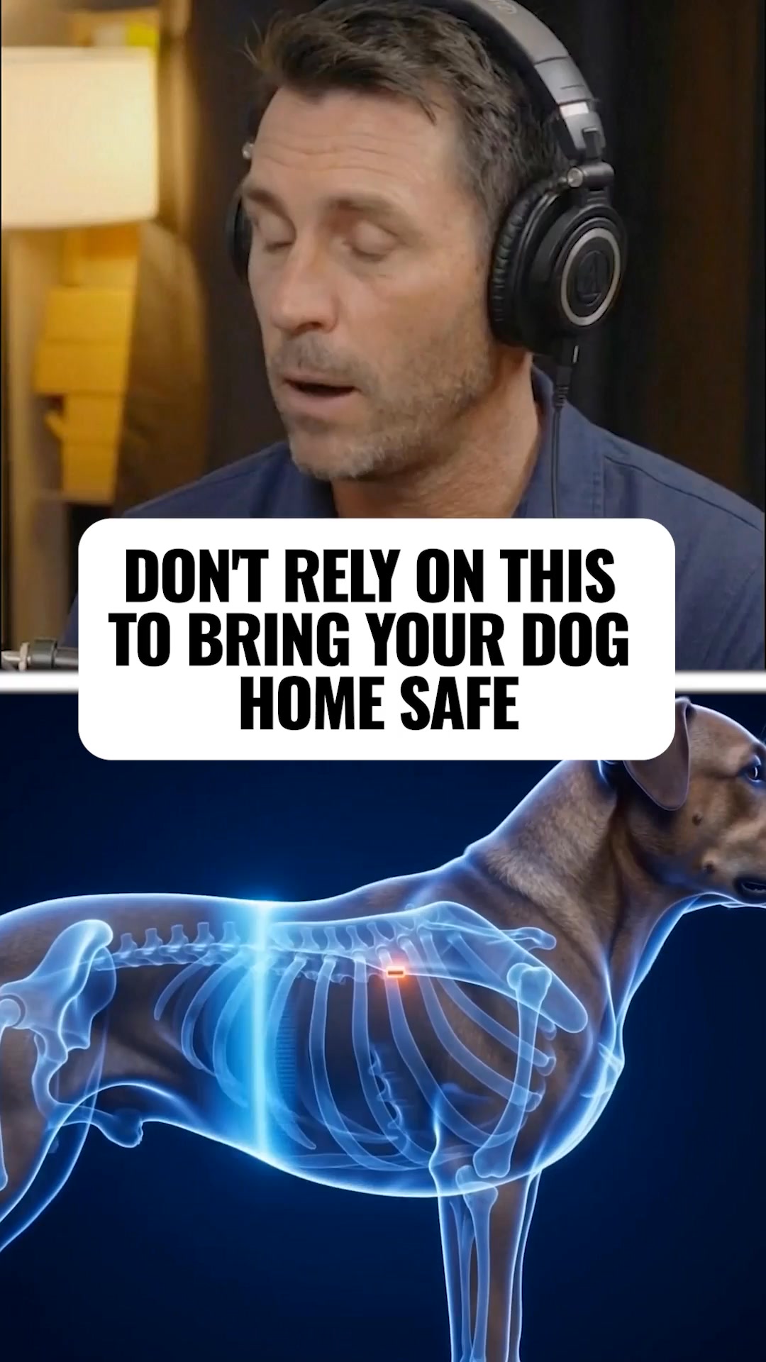 Get A Free Tag