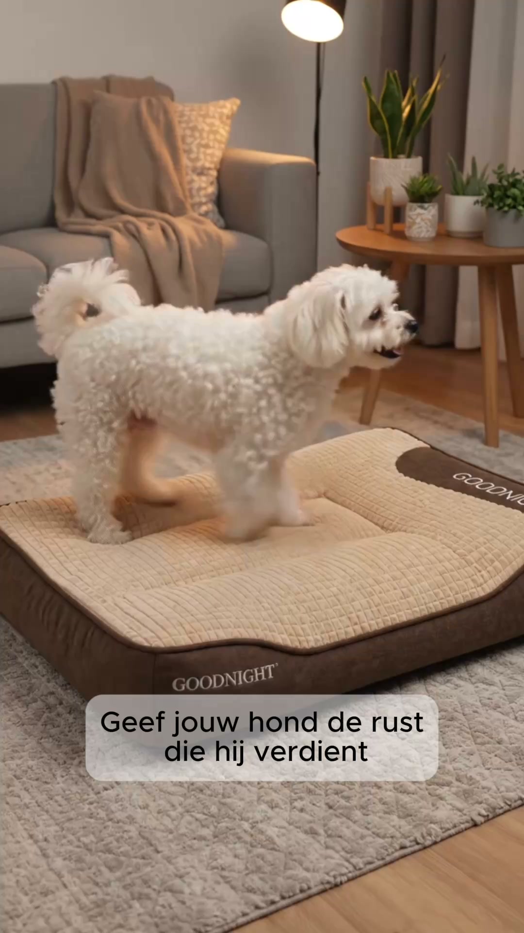 Gratis verzending in NL & BE + 14 dagen bedenktijd