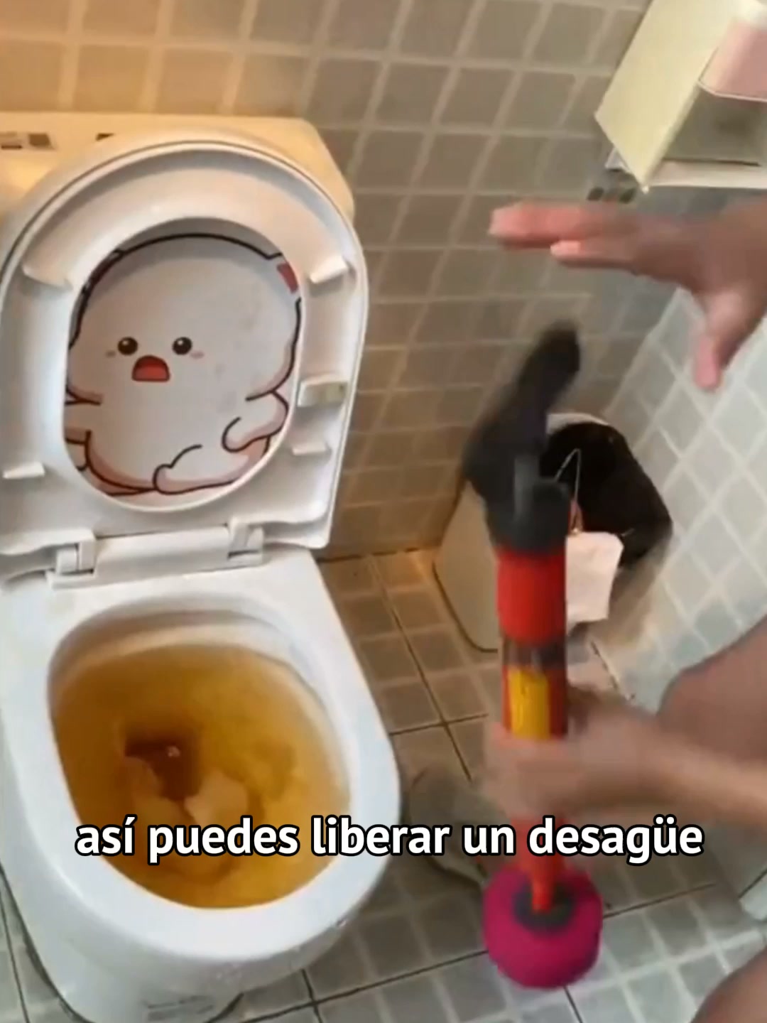 Desatasca sin químicos ni electricidad