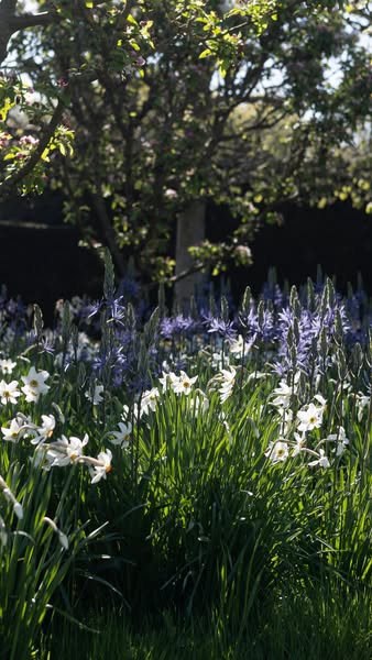 Top Quality Bulbs at Outstanding Prices