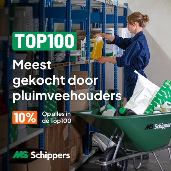 MS Schippers