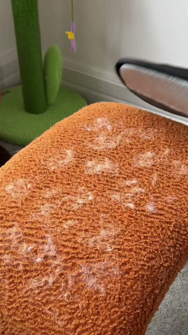 Si no consigues quitar el pelo de tu perro o gato, esto es para ti