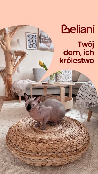 Design, który pokochają Twoje zwierzaki