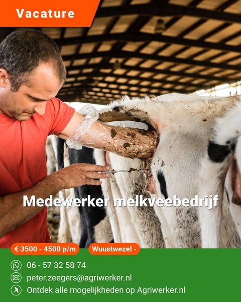 Medewerker melkveebedrijf | Agriwerker.nl