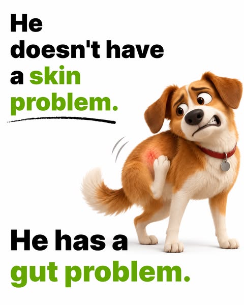 Give Him Real Relief, Finally