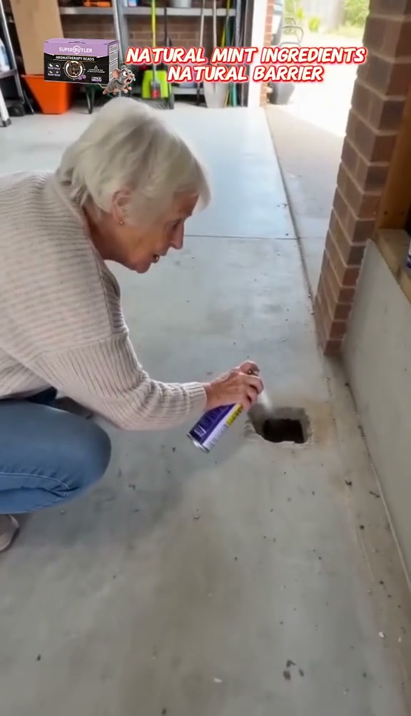 52% OFF 12 Pack | Plant-Based Rodent Repellent Tablets, Safe For Kids & Pets Home Garage