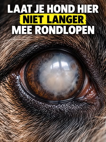 Je ziet het elke dag en hoopt dat het niet erger wordt.