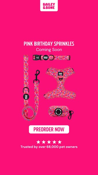 Pre-order: Pink Birthday Sprinkles