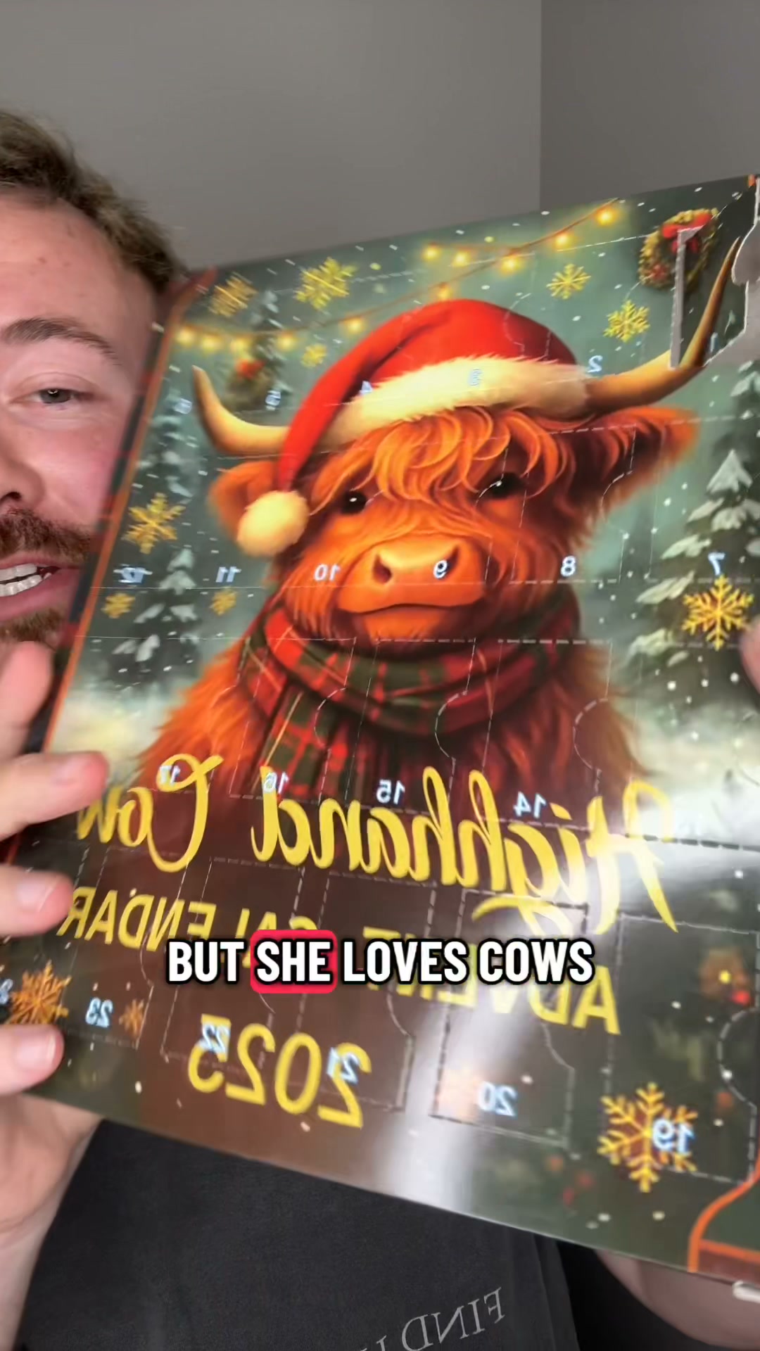 Highland Cow Advent Calendar 2027 | Cute Highland Cow Mini Figurines Advent Box