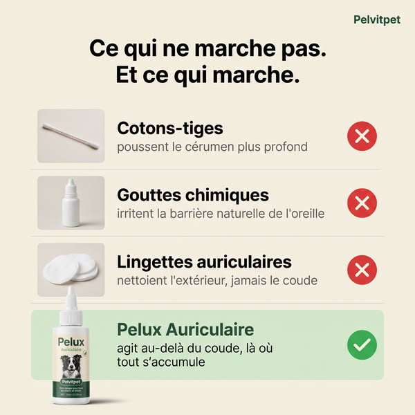 Pourquoi ça revient toujours