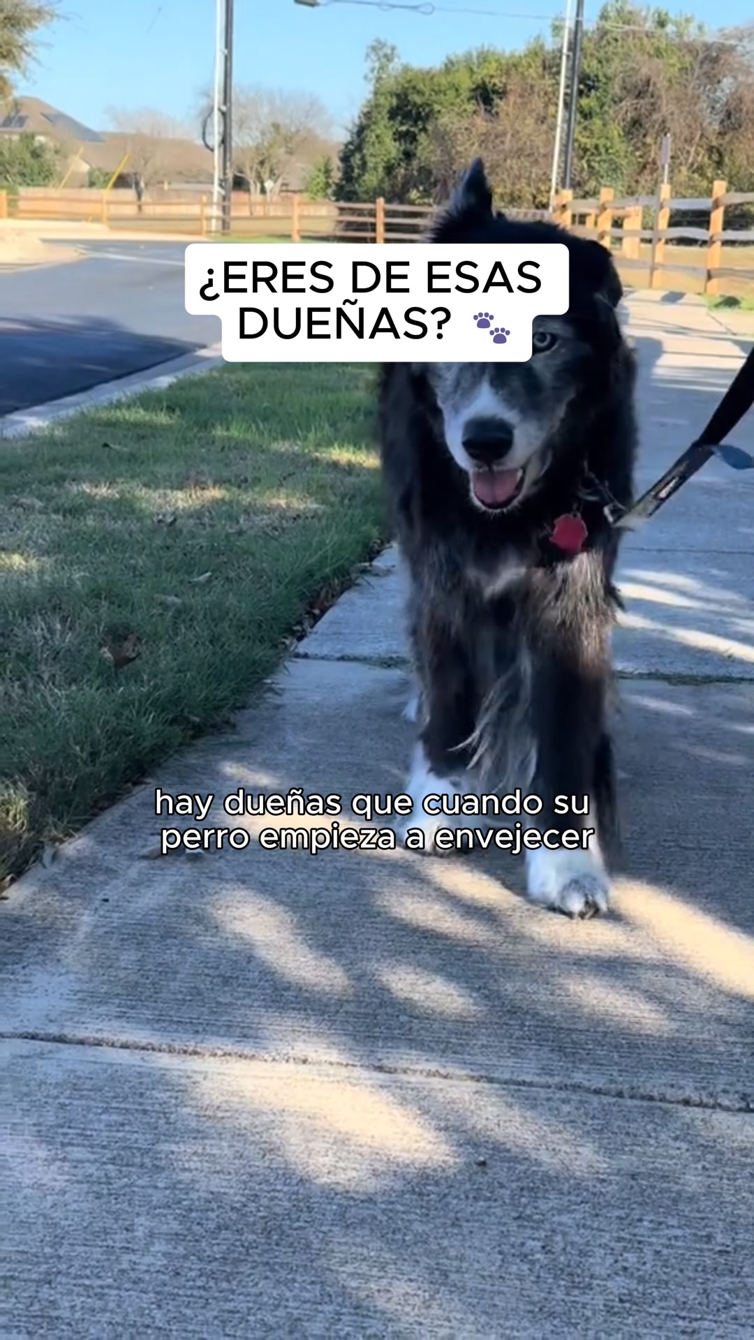 Regálale una Vida Larga y Feliz