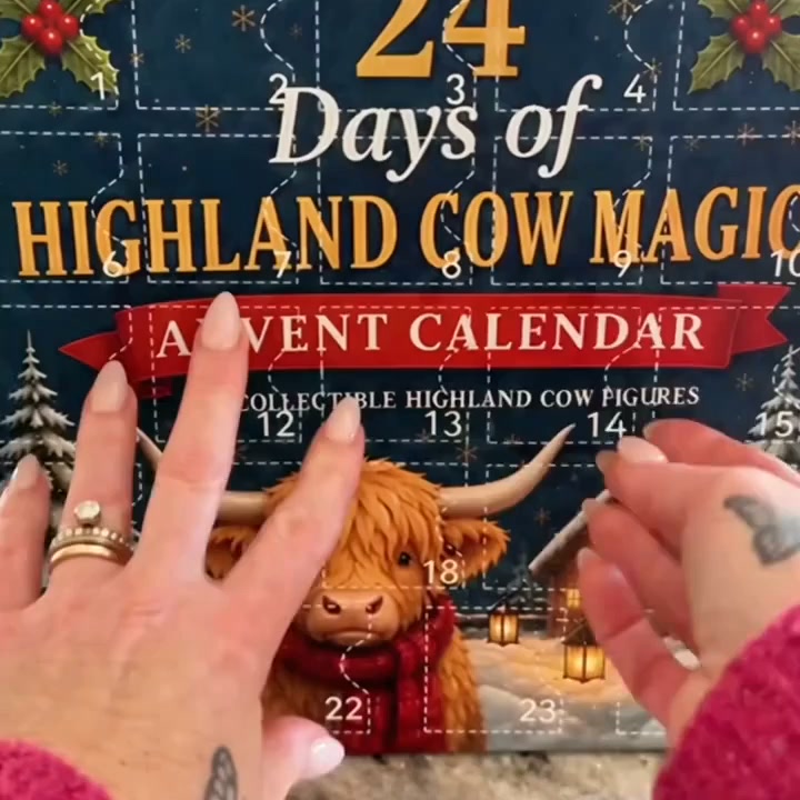 24-Day Highland Cow Advent Calendar - Christmas Countdown Gift Box wi