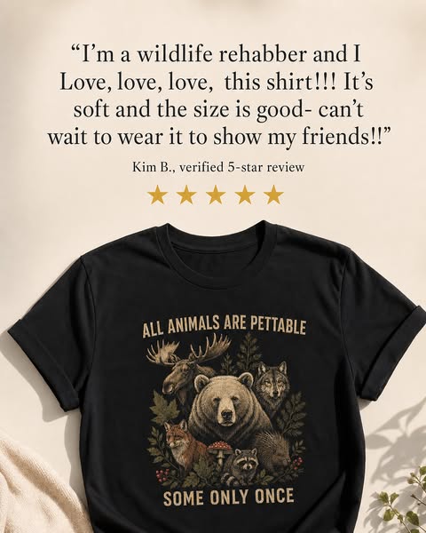 Rated 5 Stars