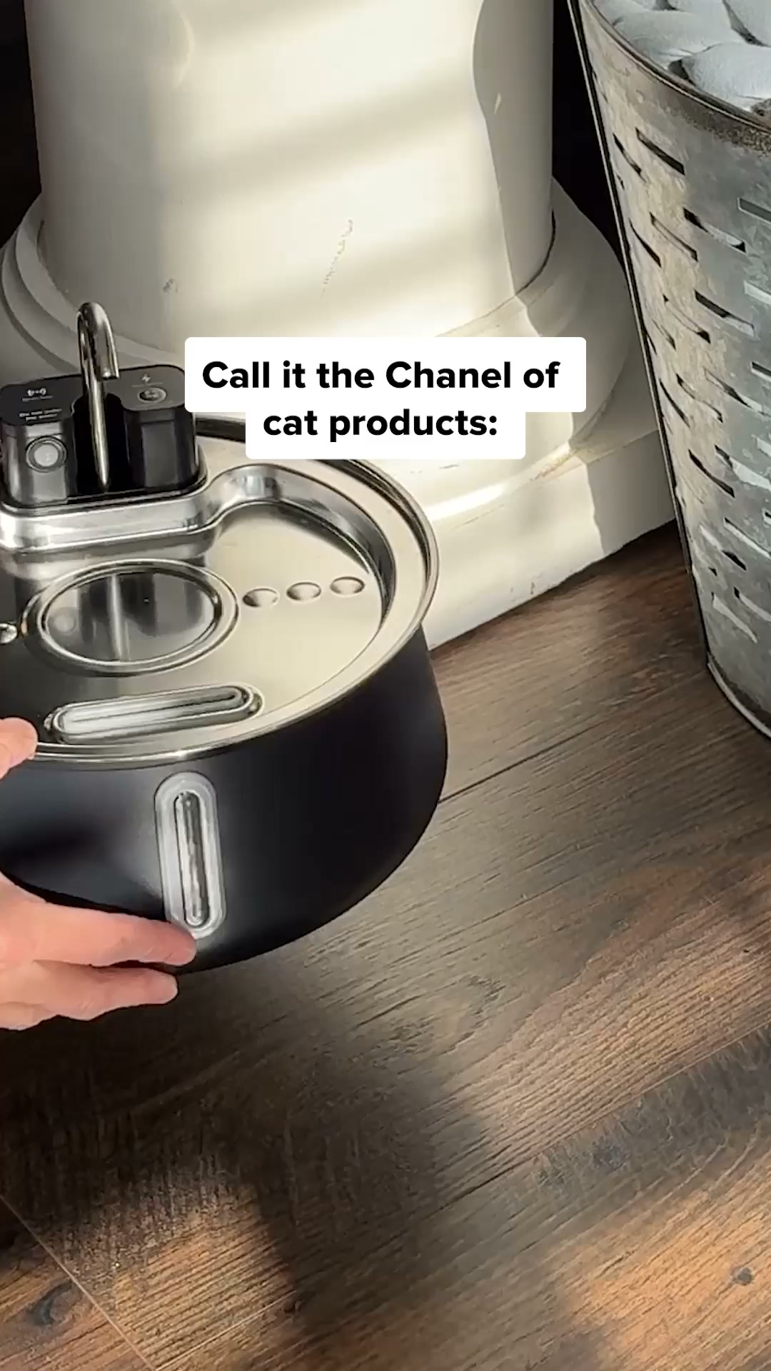 Cats Can't Get Enough Of This Fountain
