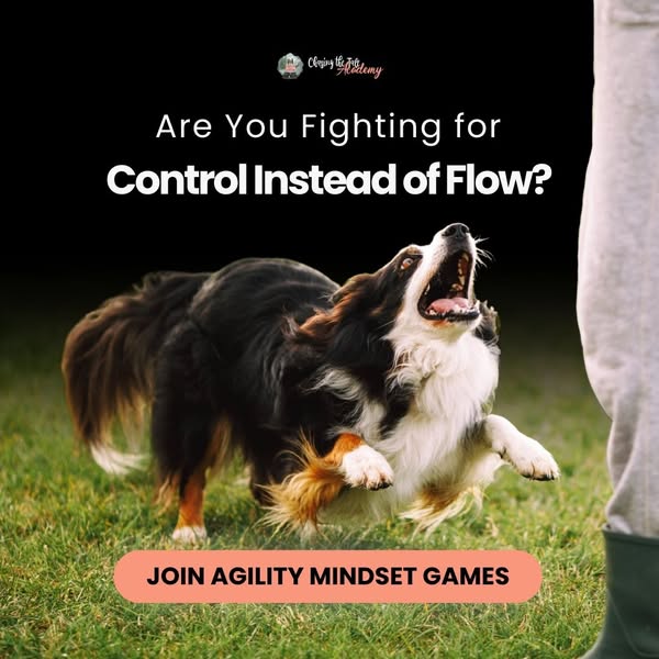 New: Agility Mindset Games - $27