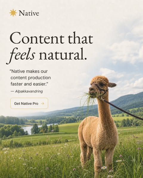 See how Native works