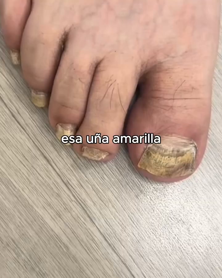 Envío GRATIS
