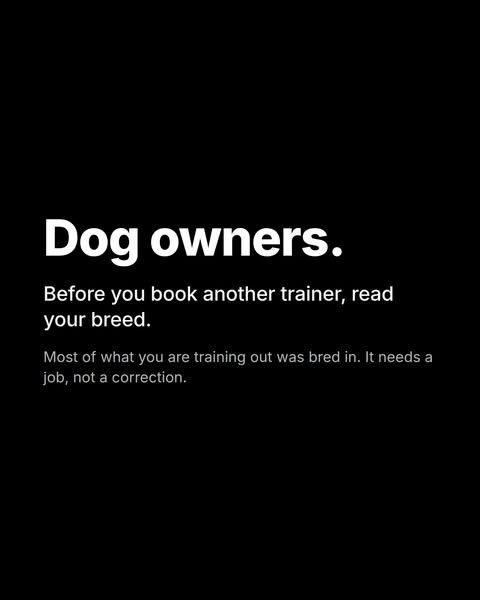Discover your breed