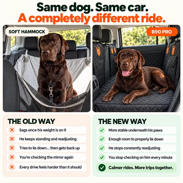 Choose Calmer Rides