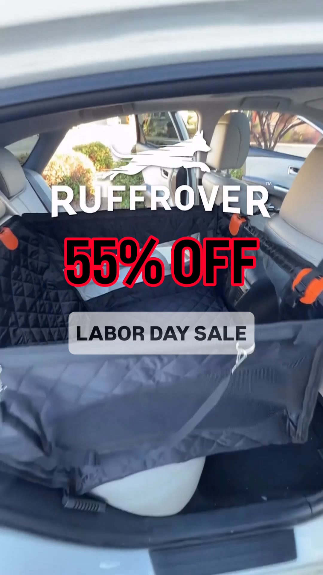 Safe & Comfy Rides in 1 Easy Step