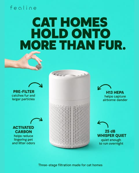 Tired of That Cat Pee Smell?
