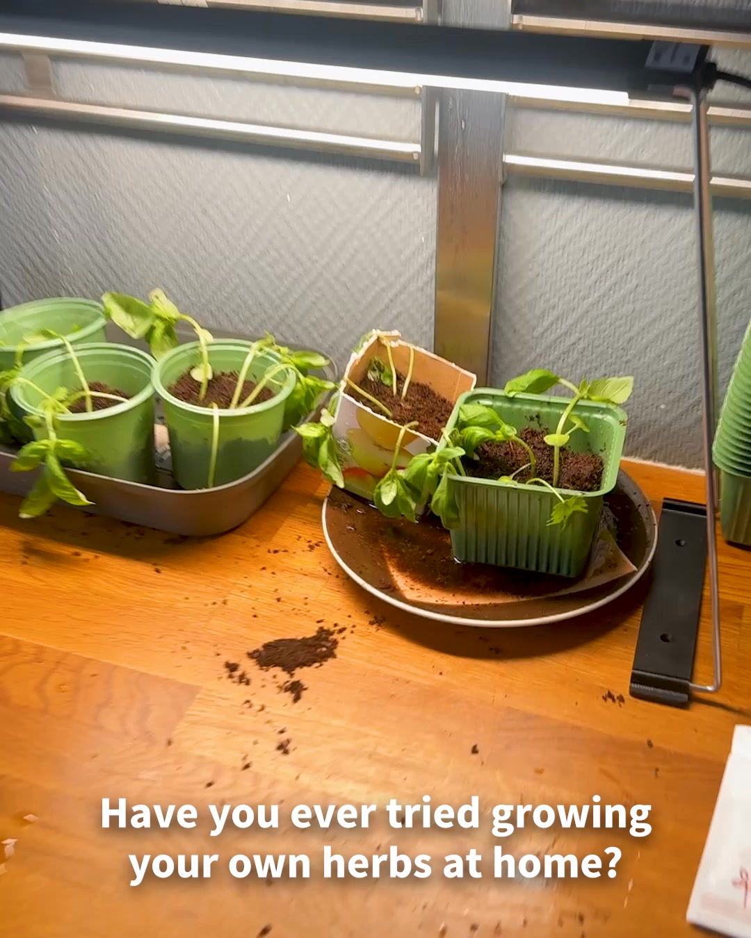 The Scandinavian indoor smart garden