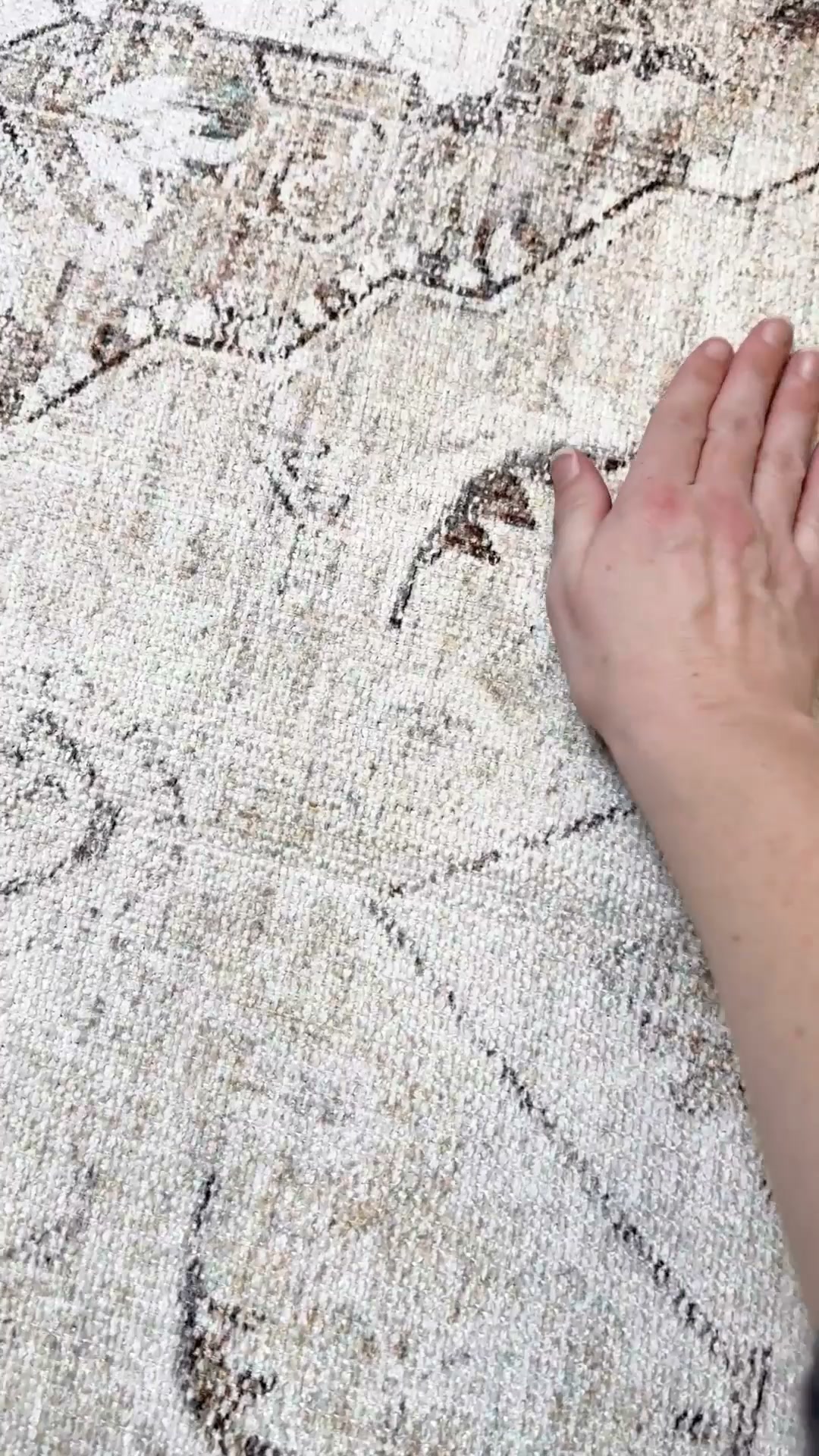 Shop Washable Rugs