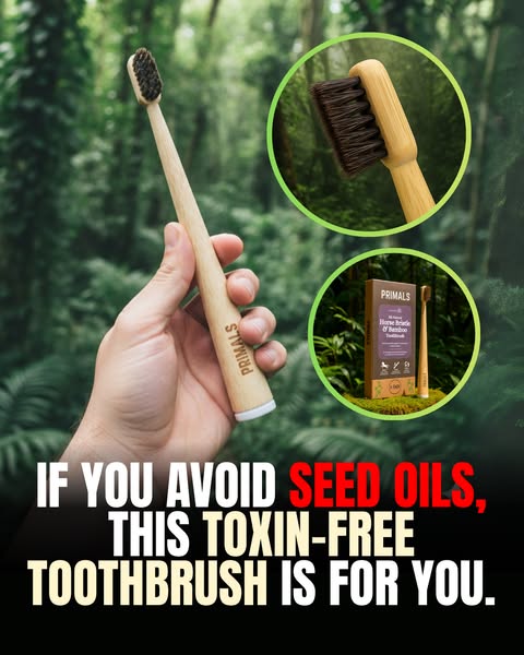 Switch to a 100% Microplastic-Free Toothbrush