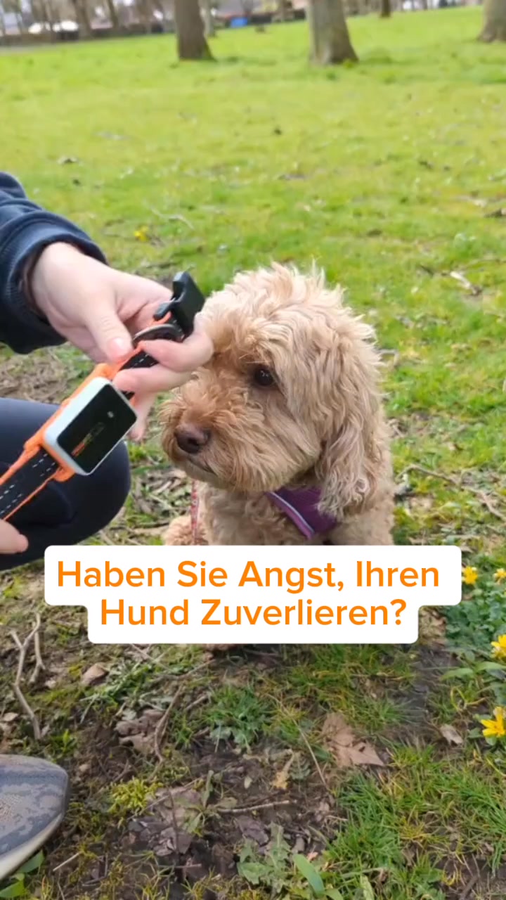Ein Muss für Hundebesitzer