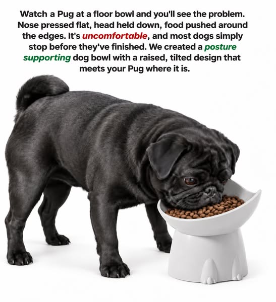 Orthopedic Bowl