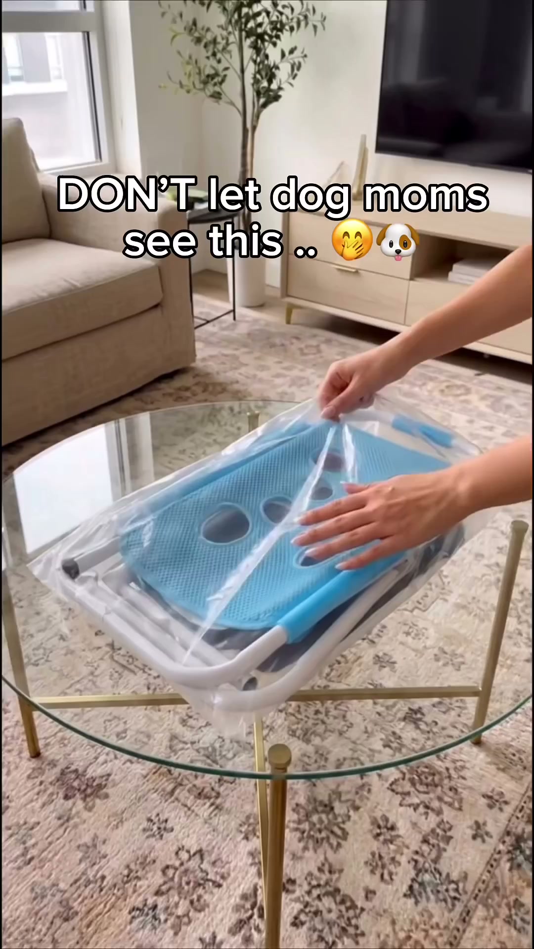 Pet Grooming Table Suitable