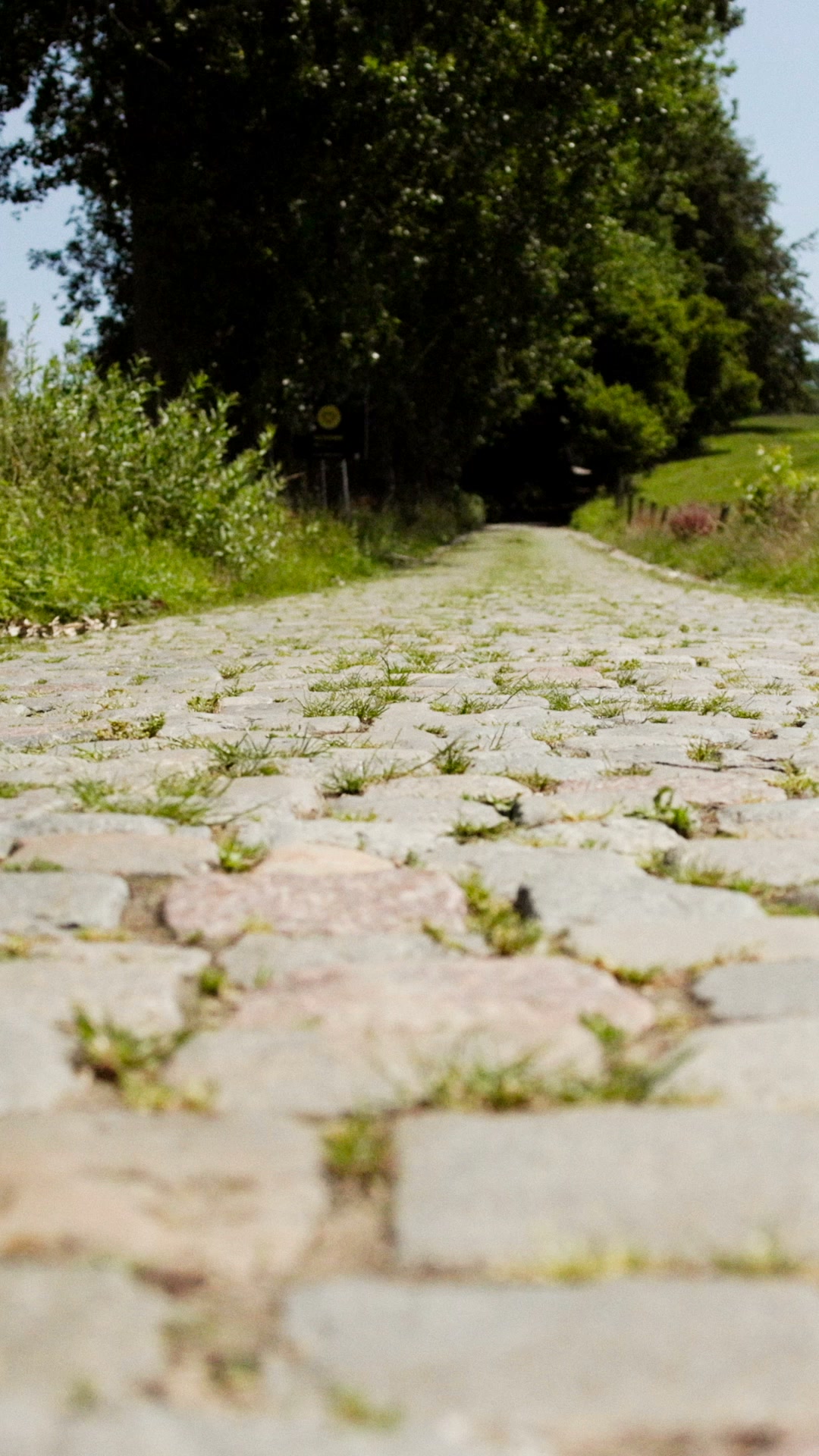 The muscle 99% of athletes ignore