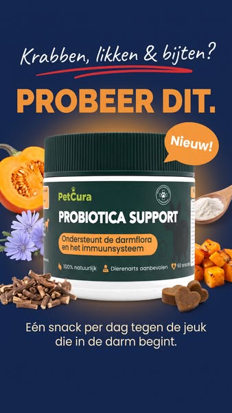 Darmproblemen stoppen