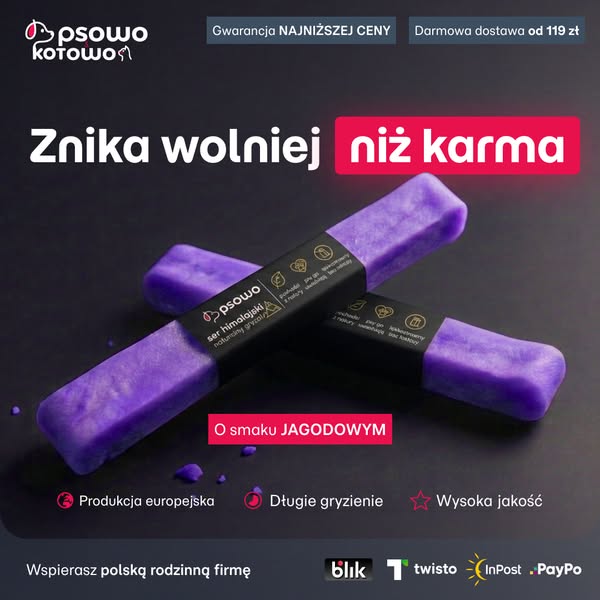 Kup teraz ser himalajski dla psa