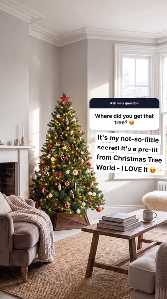The UK's #1 Christmas Tree Shop