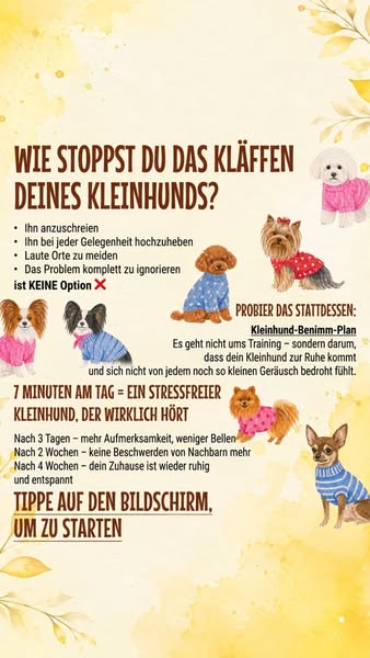 Kleiner Hund, große Klappe? SPEICHER DIR DAS ▶