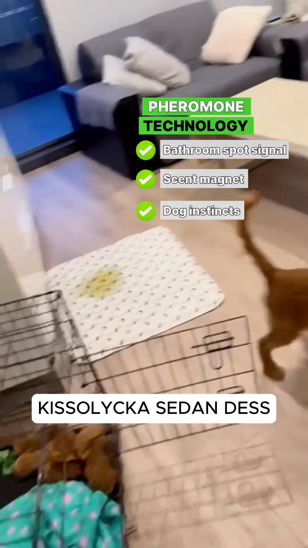 Gratis frakt + 200kr rabatt idag!