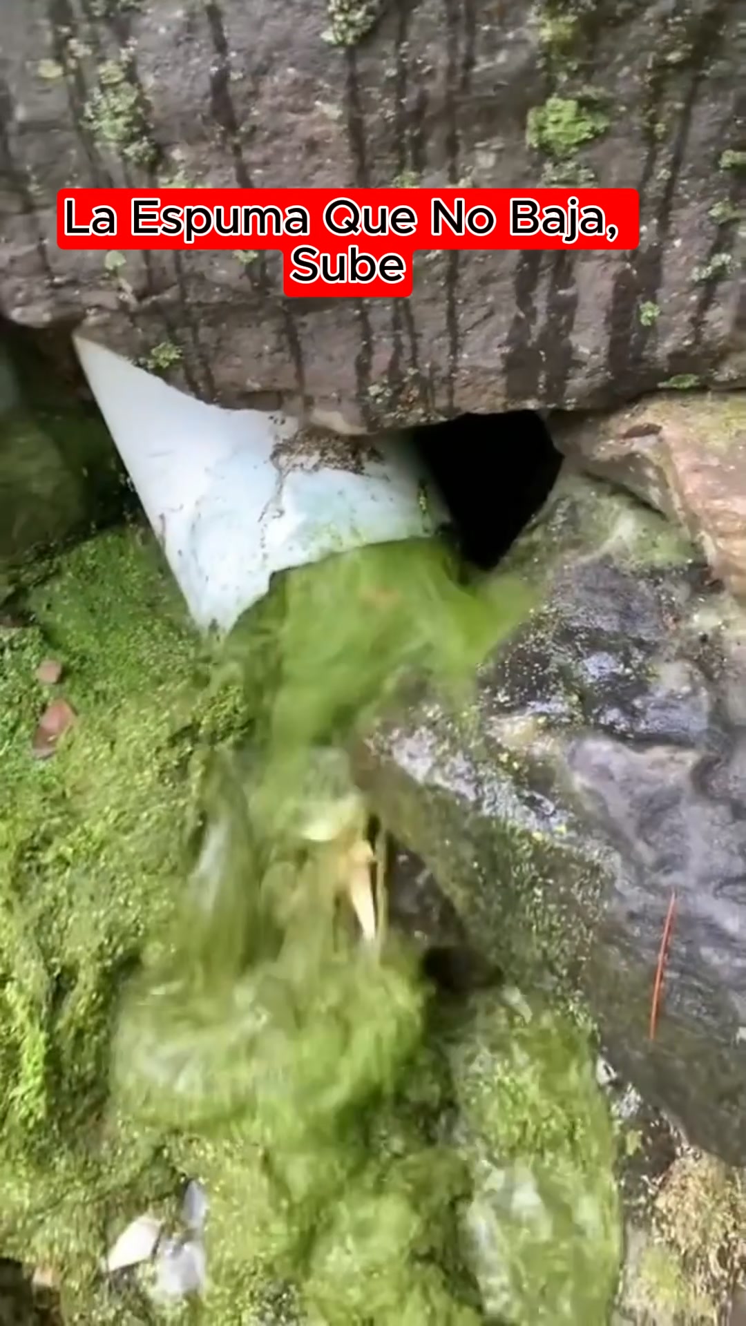 La espuma llena el caño entero