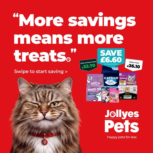 Lower prices on cat essentials.