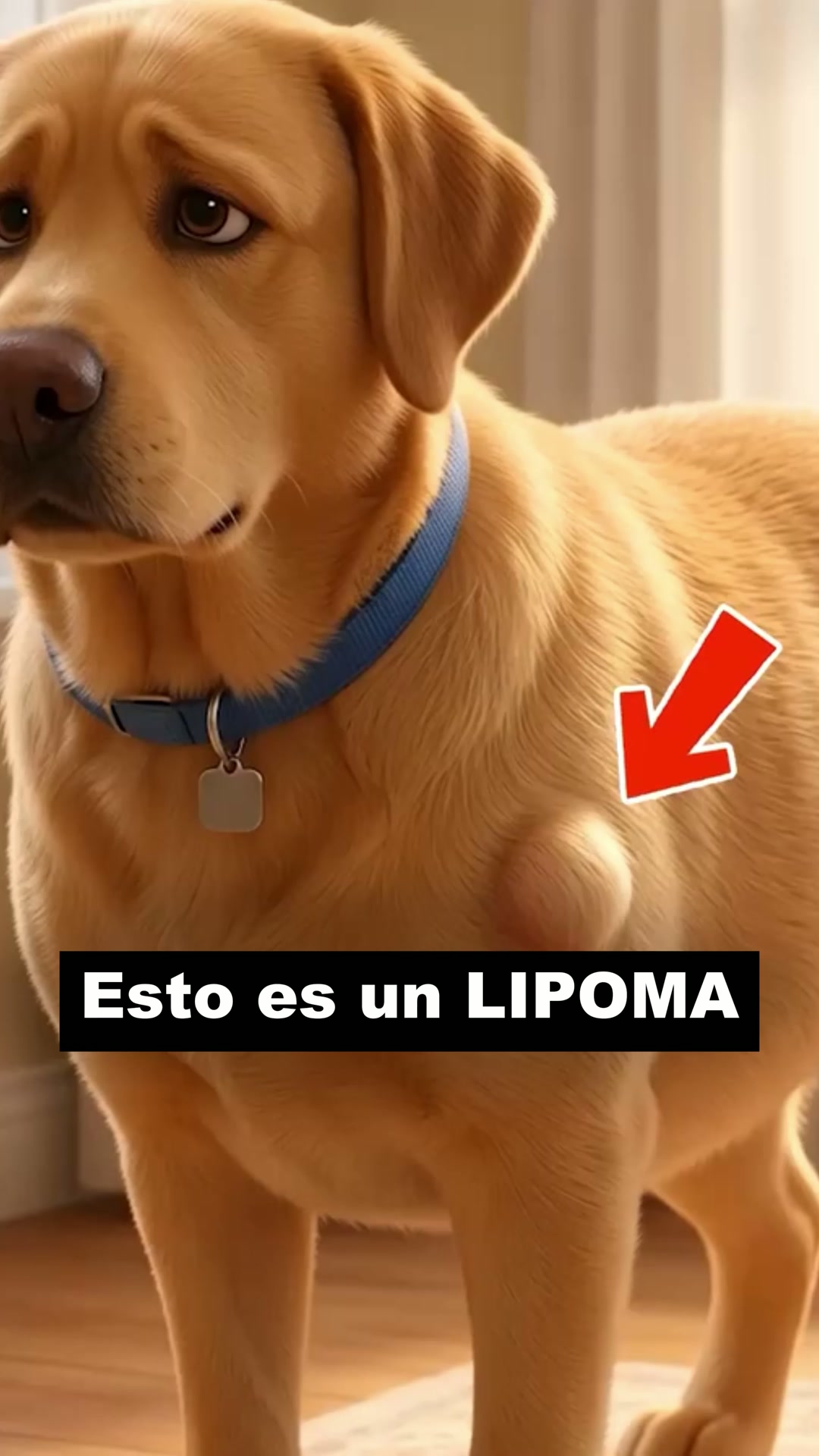 Envío GRATIS en 24/48h