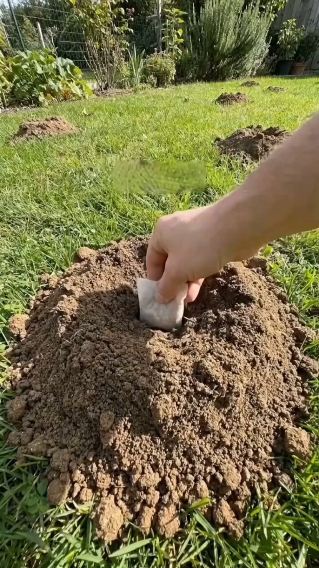 Toutes les solutions pour souris ont échoué. Sauf celle-ci...