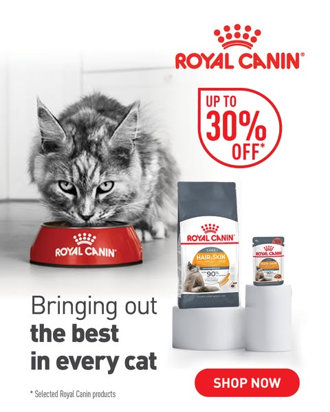 Save Up To 30%