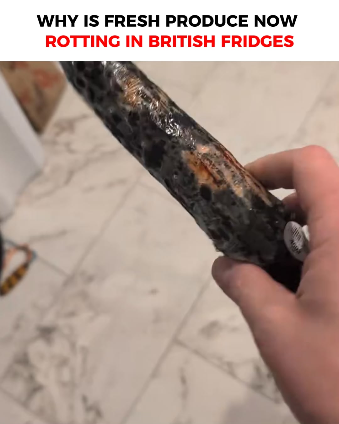 It Makes Food Last 3-5x Longer